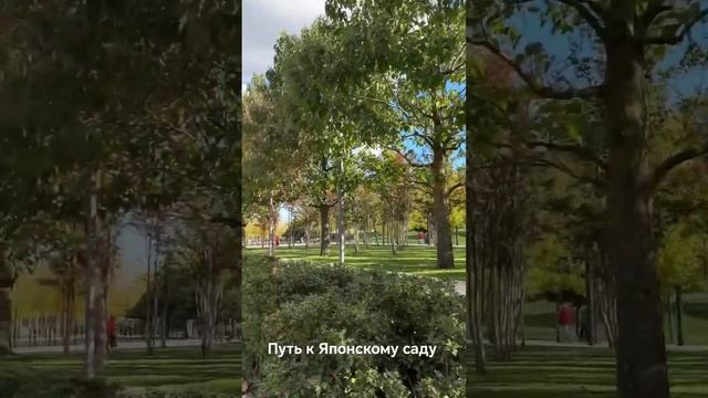 Парк Галицкого. Путь к Японскому Саду смотреть онлайн