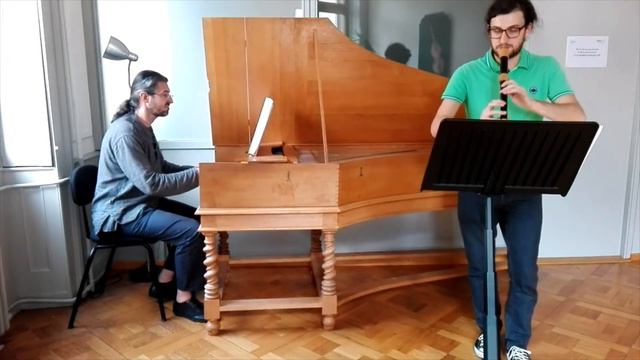 J.M.Hotteterre - Suite pour flute Op.2 n.3 смотреть онлайн