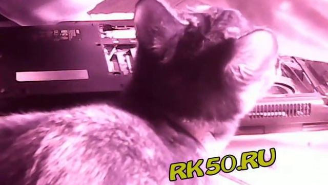 Чистка ноутбука своими руками, чистка ноутбука от пыли, чистка ноутбука смотреть онлайн