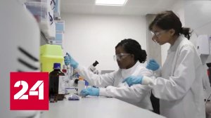 Оспа обезьян: после Британии – Португалия и Испания - Россия 24