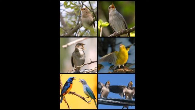 СРОЧНО! СМОТРЕТЬ ВСЕМ! ПРОСТЫЕ ЖЕЛАНИЯ ДЛЯ КАЖДОГО ИЗ НАС смотреть онлайн