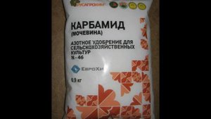 Как подкормить смородину ,особенности и время подкормки