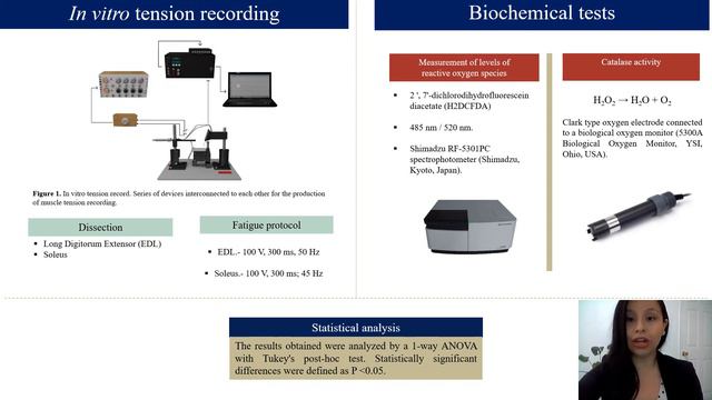 MnlC 083 Effect of the consumption of Stevia rebaudiana Bertoni as a natural and artificial swee... смотреть онлайн