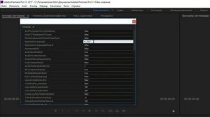 Как в Adobe Premiere сделать два языка одновременно (русский и английский)