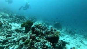 Индийский океан,-погружаемся в сказку!..