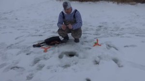 Рыбалка на форель зимой.Зимний тест форелевых зефирок.Ловим форель в Кокино.