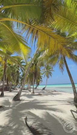 Остров Саона, Доминиканская Республика🌴