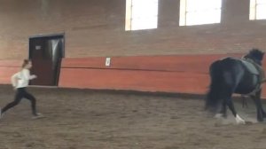 Вольтижировка. Первые шаги.