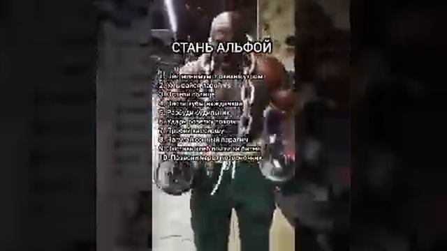 как стать альфой? как стать альфой самцом? #mem #shorts смотреть онлайн