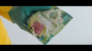 КАК ПОСАДИТЬ ПЕТУНИЮ В ГОРШОК, ЧТОБЫ НЕ ВЫСОХЛА НА СОЛНЦЕ