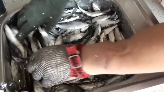 Быстрая чистка уклейки