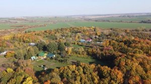 Деревня Большие Колковицы с высоты птичьего полёта