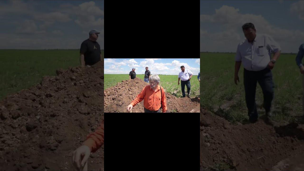 Это ли южный чернозём? #точноеземледелие #сельскоехозяйство #farming #почва