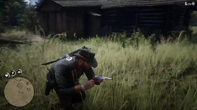 ✌ ОГРАБЛЕНИЕ ШЕ-ПОРТЕ - прохождение Red Dead Redemption 2 часть 16