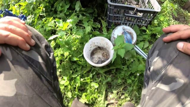 Крест 15-16 век смотреть онлайн