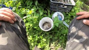 Крест 15-16 век