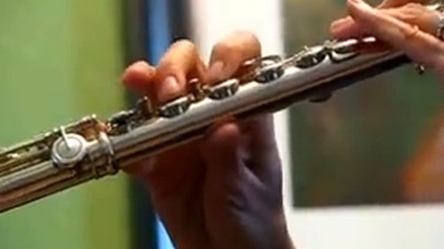 Powell 2100 Used Flute with Aurumite and Rose Gold - Low to Mid Range Demo смотреть онлайн