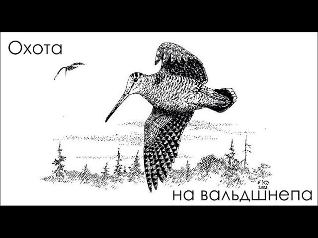 Весна охота !