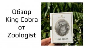 Первый обзор King Cobra от Zoologist!Невероятная Кобра!