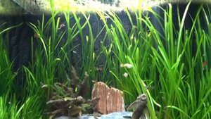 My Juwel Lido 120 LED