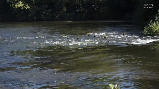 Зарайск прогулка по окрестностям смотреть онлайн