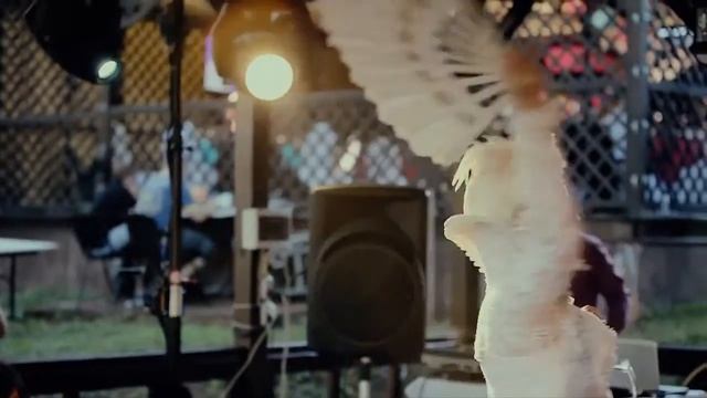 Татьяна Голубицкая: «голуби на свадьбу» смотреть онлайн