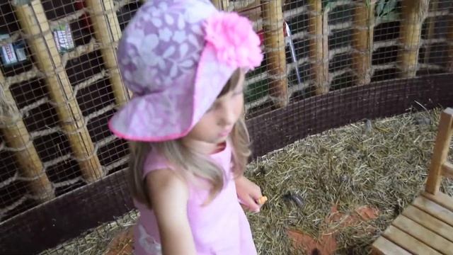 Отдых в Сочи с детьми. Куда сходить в Сочи с детьми. Детский канал. смотреть онлайн