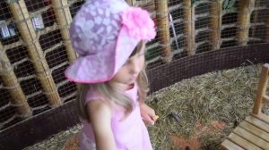 Отдых в Сочи с детьми. Куда сходить в Сочи с детьми. Детский канал.