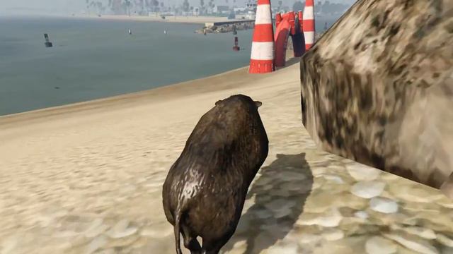 GTA 5 - Как играть за животных (Лофофор#6) смотреть онлайн