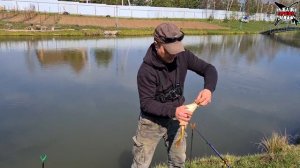 ЛОВЛЯ КАРПА В МАЕ. ХАПНУЛИ АДРЕНАЛИНА. Рыбалка на поплавок весной