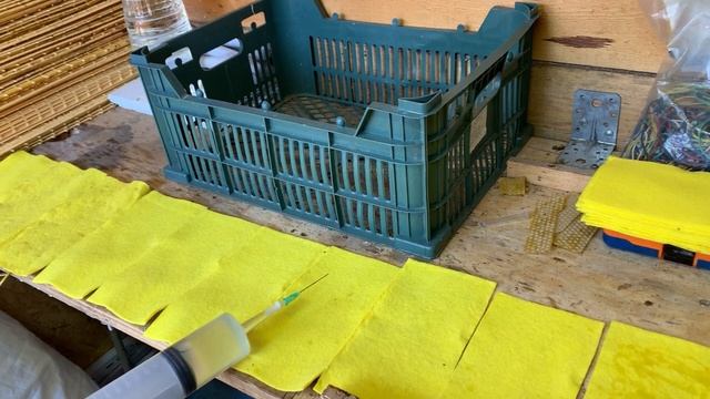 Даю пихтовое масло по 5 мл смотреть онлайн