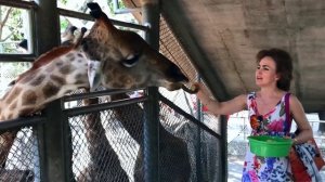 Тайланд Паттайя: Парк Камней, Крокодиловая ферма, Кобры и Плавучий рынок