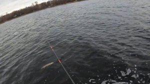 Обзор и реальный тест спиннинга Sable S 802 MH от Russian Bass.