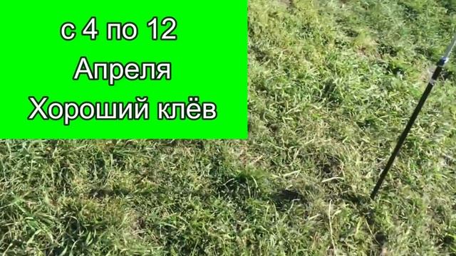 Календарь рыбака на Апрель Прогноз клева рыбы на Апрель Календарь клева Апрель 2022 смотреть онлайн