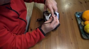 Очки, снегоход и система подогрева.