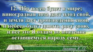 Книга пророка Захарии с музыкой глава 8 читаем и слушаем