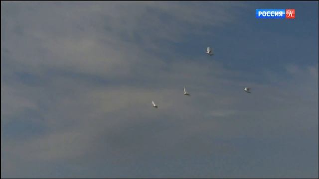 Москва и голуби: История голубятен 2022 смотреть онлайн