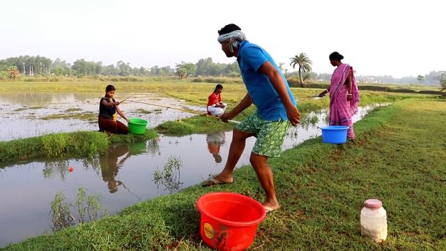 Fishing Video || Village boys and girls are fishing together using hooks in the long canal in field смотреть онлайн