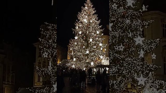 Главная Ёлка Праги готова к Рождеству и Новому Году. Christmas in Prague. Main Tree of Prague