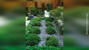 ❀ Гравийный сад своими руками.  Растения для гравийного сада