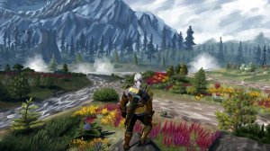 The Witcher 3: The Fields Of Ard Skellig (lofi remix)