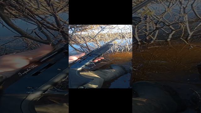 Охота на гуся 2024 смотреть онлайн