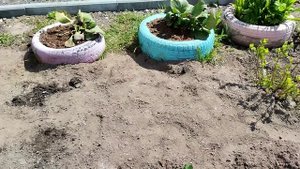 ЧЕРНОЗЁМ ИЗ ВОРОНЕЖА И МОСКОВСКИЙ, И СМЕХ И ГРЕХ