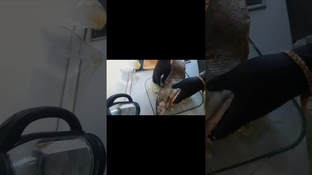 форель на углях с чесночком ??? и лимоном???