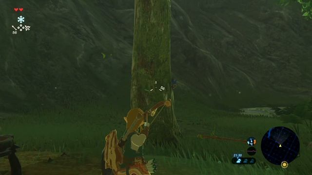 Первый торговец ※ The Legend of Zelda: BotW #9 смотреть онлайн