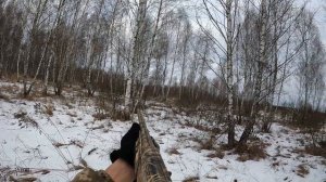 Закрытие охоты на Косулю, Лицензия закрыта