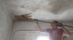 Как и чем быстро снять побелку (по глине) с потолка