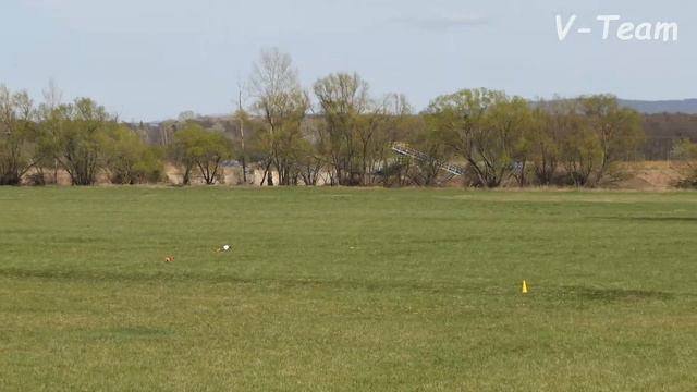 Whippets Anthrax Go-Bye (R) - Mister Dolce Good To See You (W). SLOVAK COURSING CHAMP 2018. смотреть онлайн