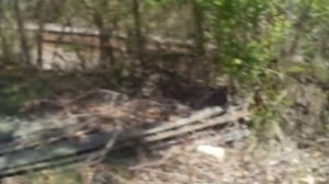 2000 Ford Crown Victoria Daytime start