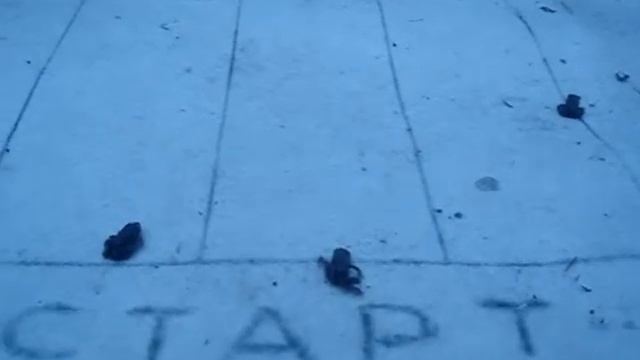 Прикол...Легкоатлеты-трезвенники.MPG смотреть онлайн